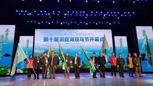 守护飞翔的约定 第十届洞庭湖观鸟节开幕侧记